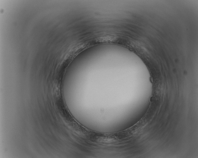 X0000062850743200601272041