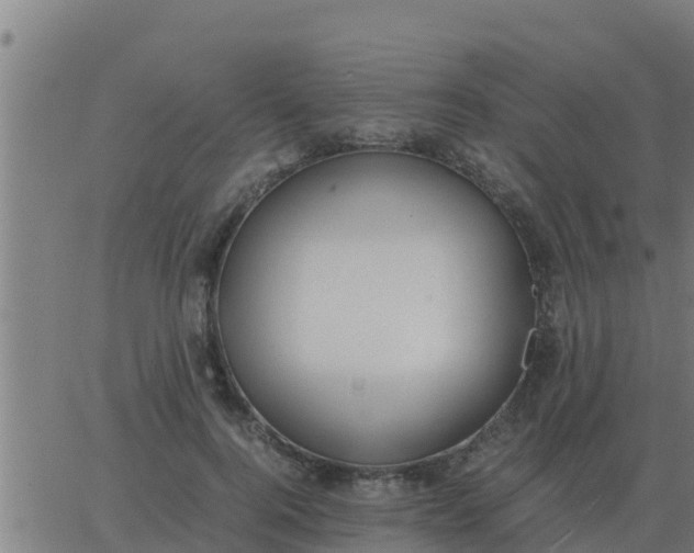 X0000062850744200601272041