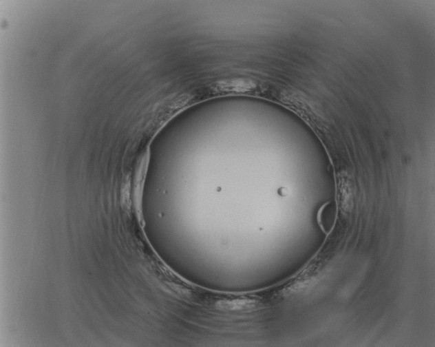 X0000062850745200601272041