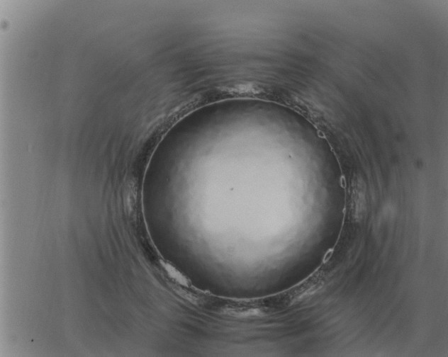 X0000062850747200601272041