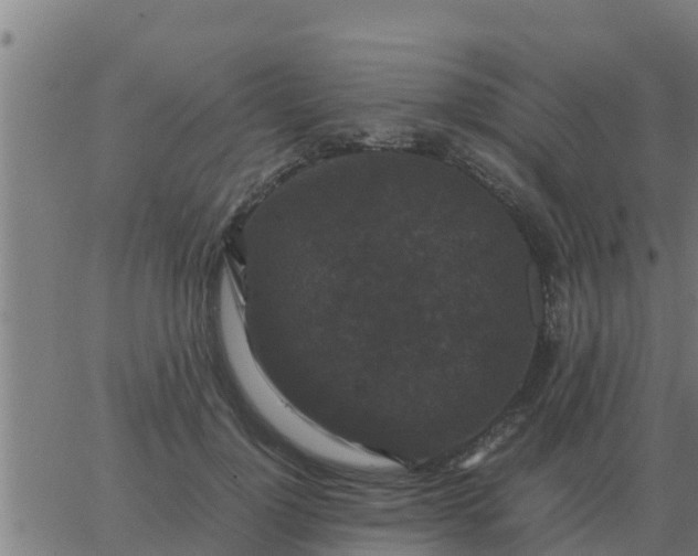 X0000062850748200601272041