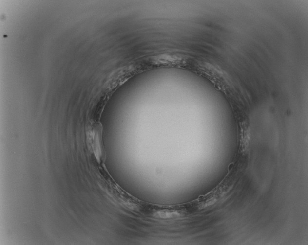 X0000062850749200601272041