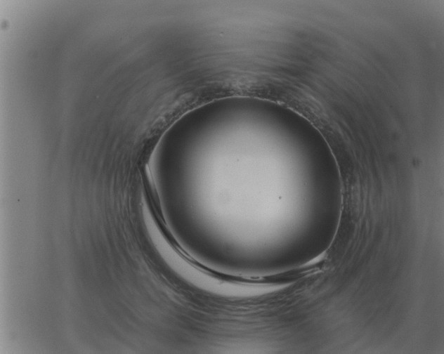 X0000062850750200601272041