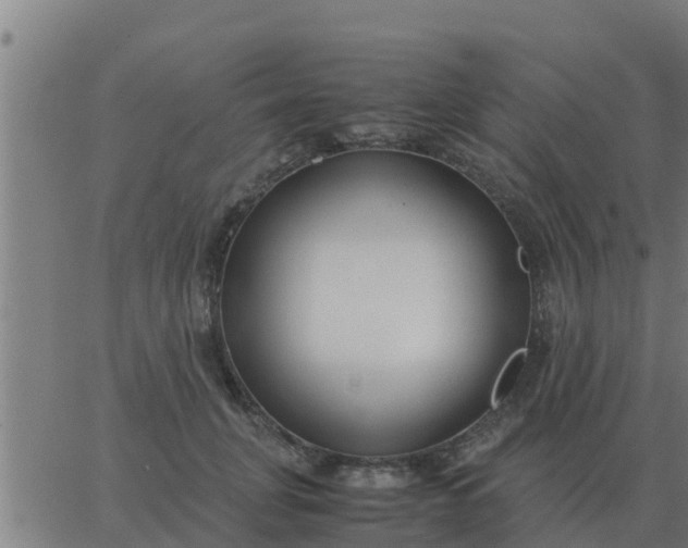 X0000062850751200601272041