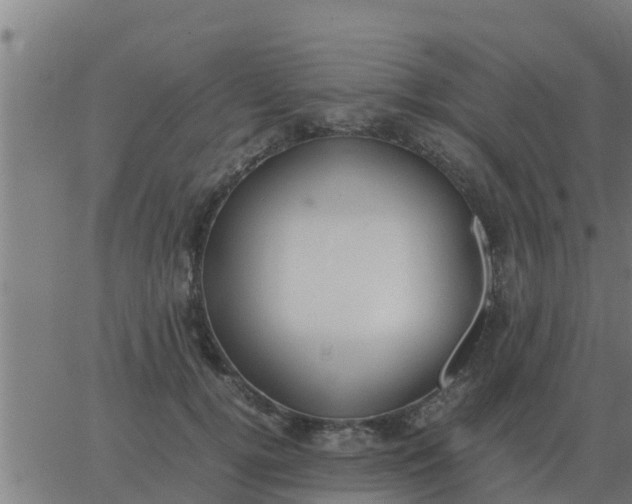 X0000062850752200601272041