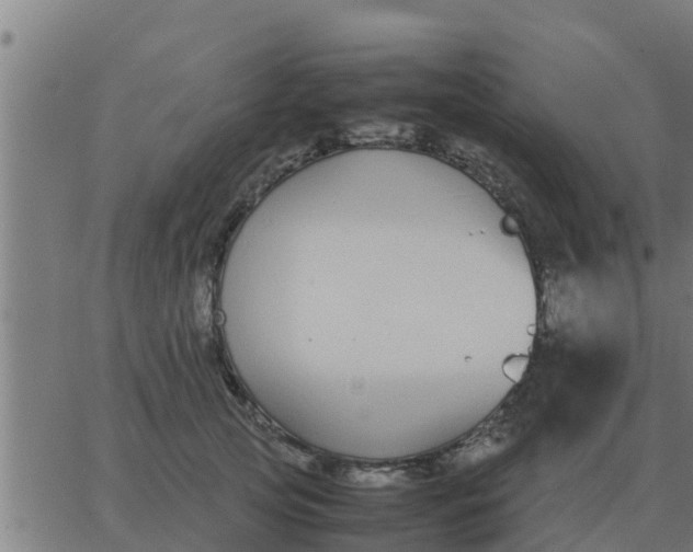 X0000062850753200601272041