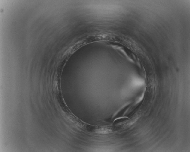 X0000062850754200601272041