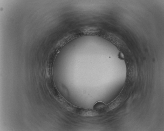 X0000062850755200601272041