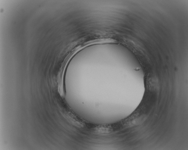 X0000062850756200601272041