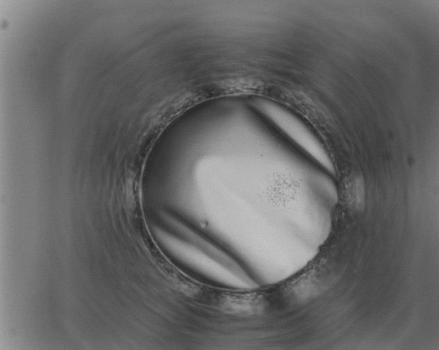 X0000062850757200601272041