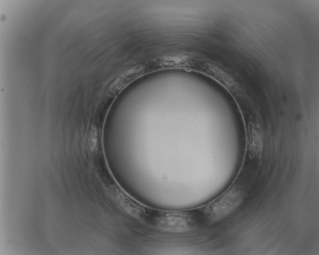 X0000062850758200601272041