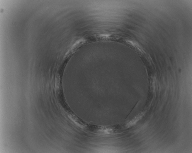 X0000062850760200601272041