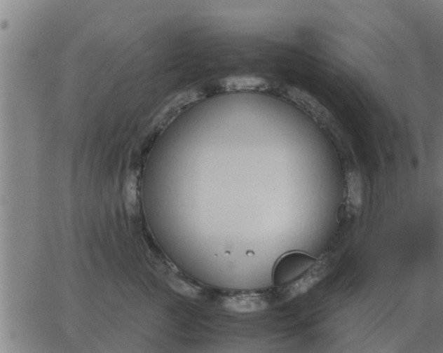 X0000062850761200601272041