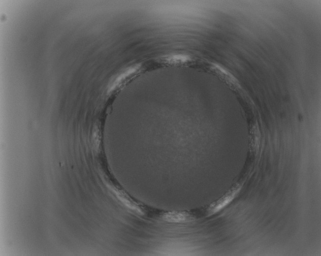 X0000062850762200601272041