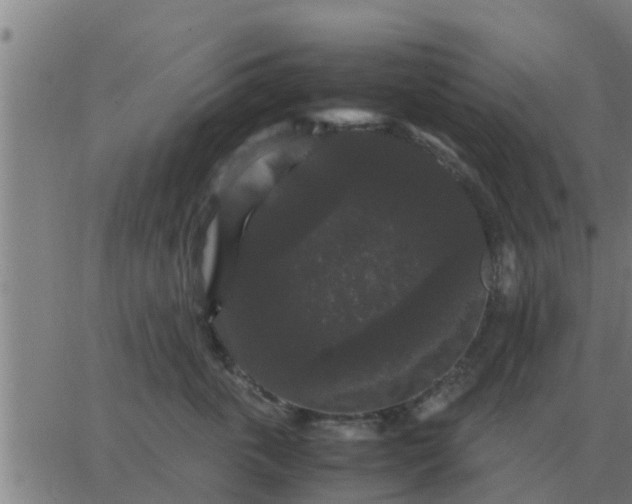 X0000062850763200601272041