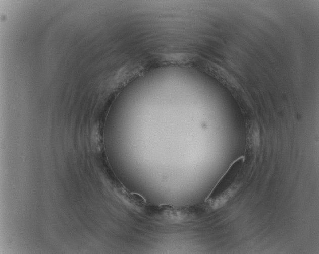 X0000062850764200601272041