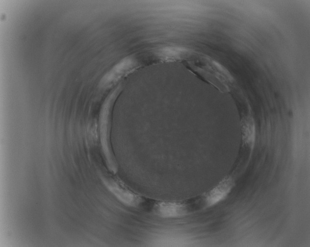 X0000062850766200601272041