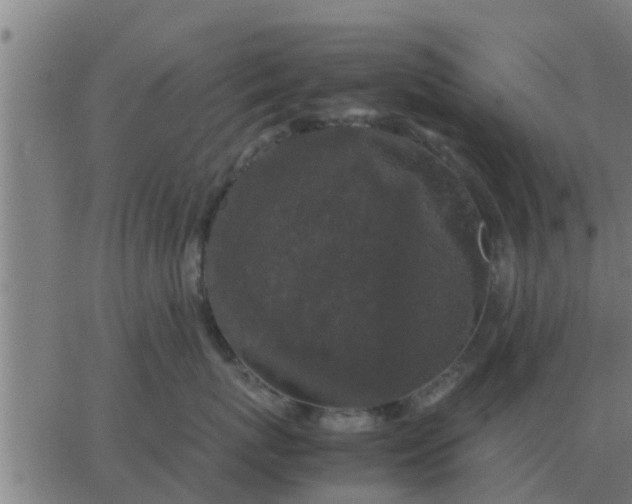 X0000062850767200601272041