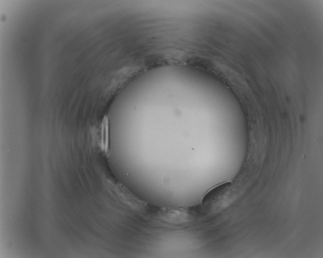 X0000062850768200601272041