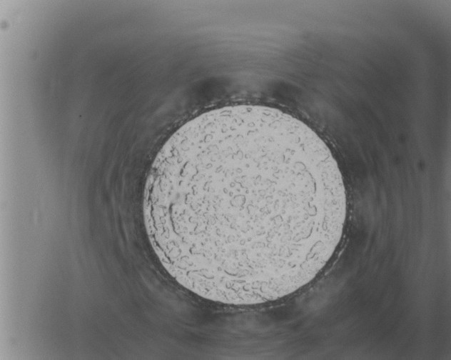 X0000062850769200601272040