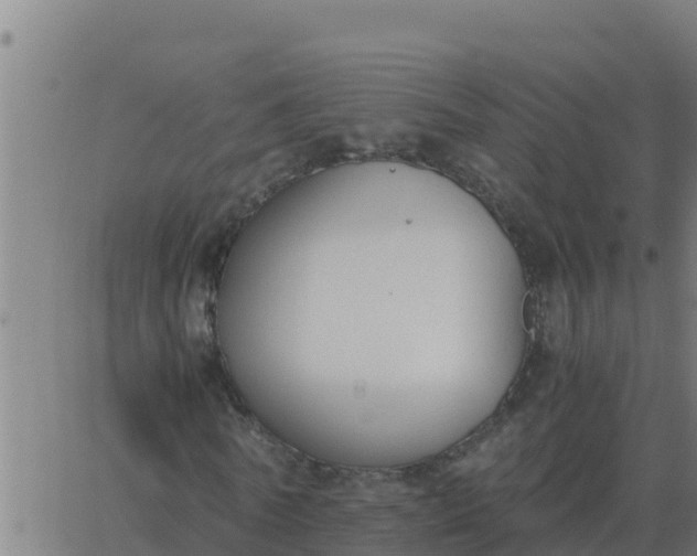 X0000062850770200601272040