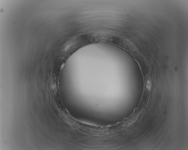 X0000062850771200601272040