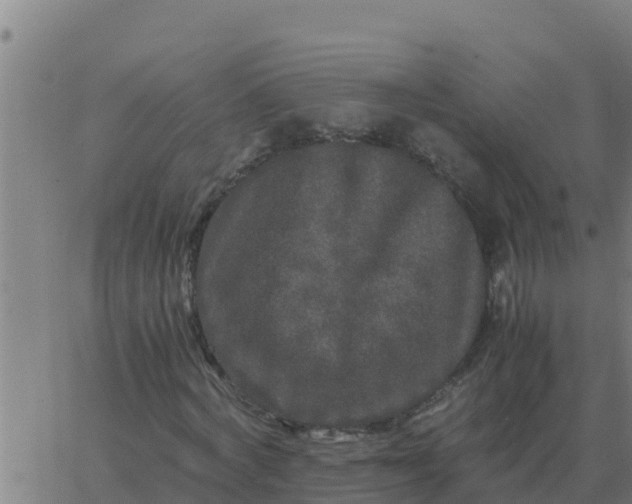 X0000062850772200601272040