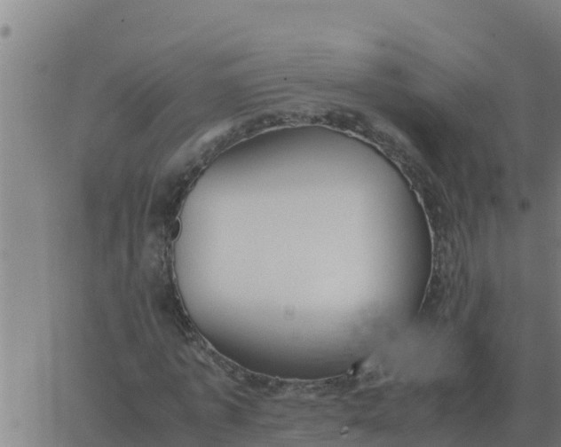 X0000062850773200601272040