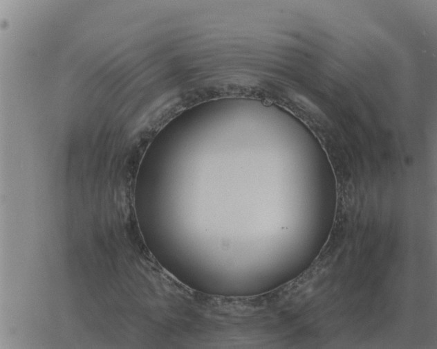 X0000062850774200601272040