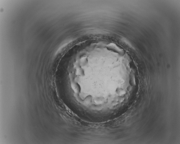 X0000062850775200601272040