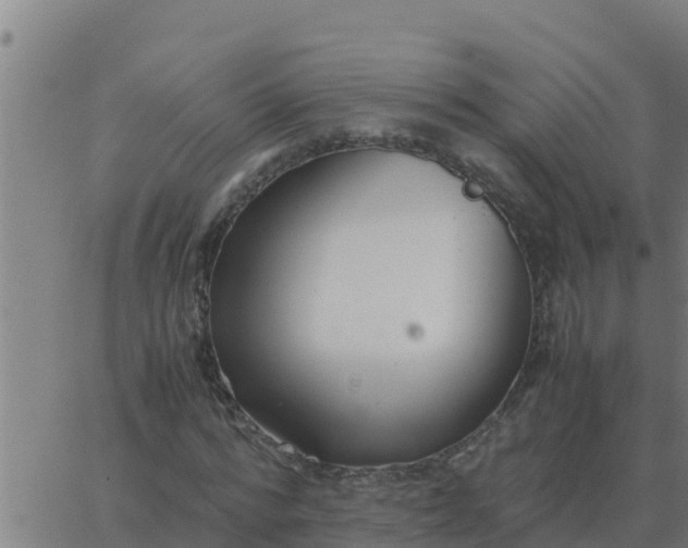 X0000062850776200601272040