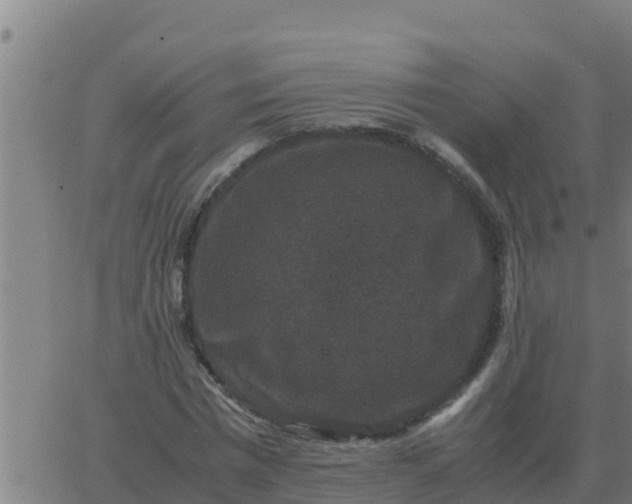 X0000062850777200601272040