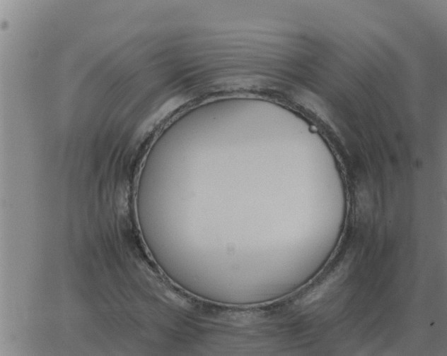 X0000062850778200601272040