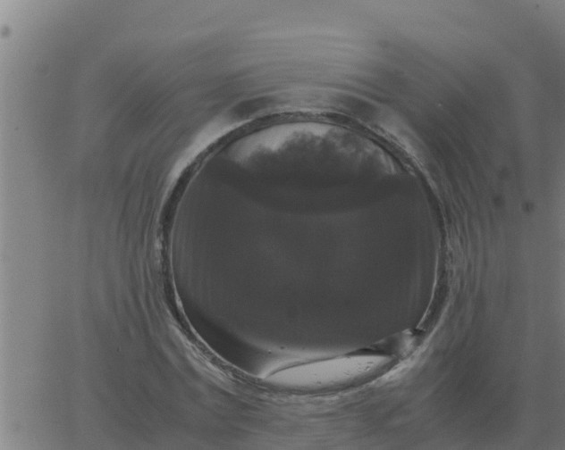 X0000062850779200601272040