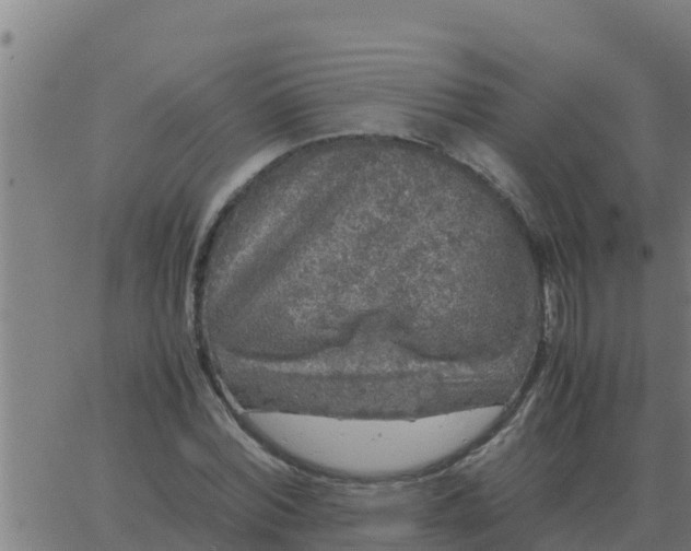 X0000062850780200601272040