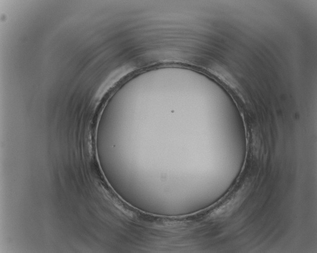 X0000062850782200601272040