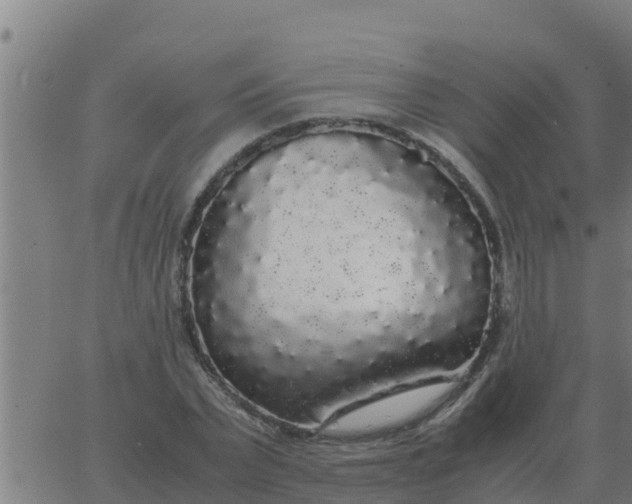 X0000062850783200601272040