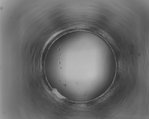 X0000062850784200601272040