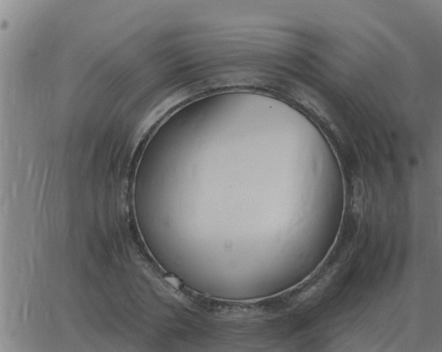 X0000062850786200601272040