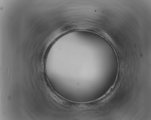 X0000062850787200601272040