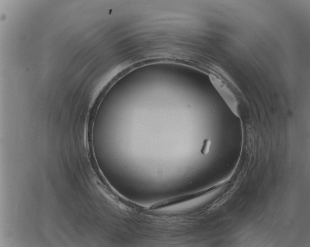 X0000062850788200601272040