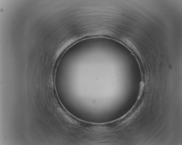 X0000062850789200601272040