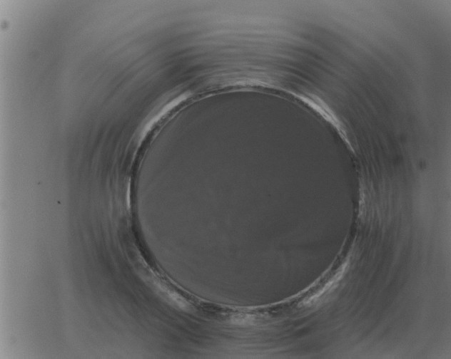 X0000062850790200601272040