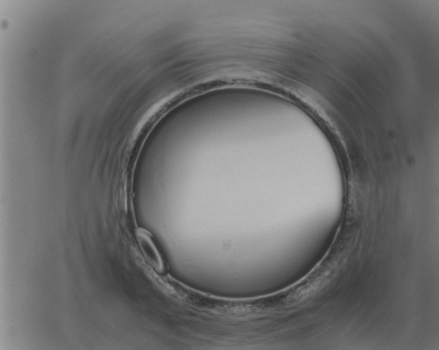 X0000062850791200601272040