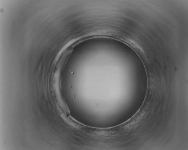 X0000062850792200601272040