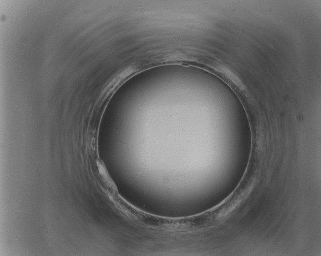 X0000062850793200601272040