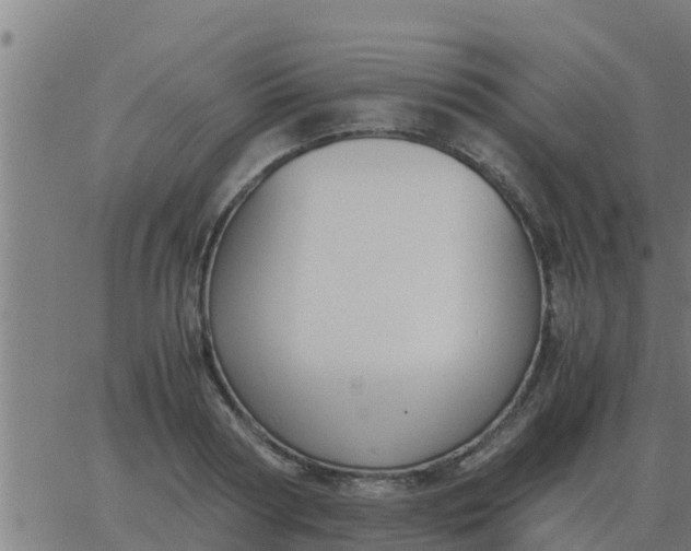 X0000062850794200601272040