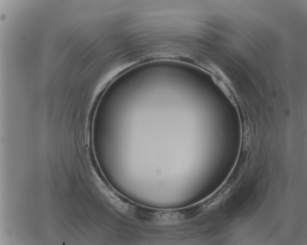 X0000062850795200601272040