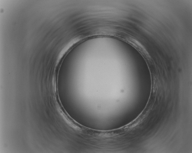 X0000062850796200601272040