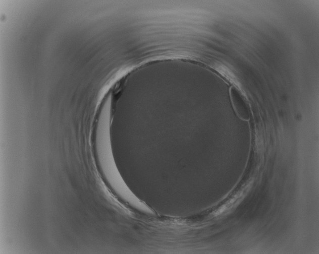 X0000062850797200601272040